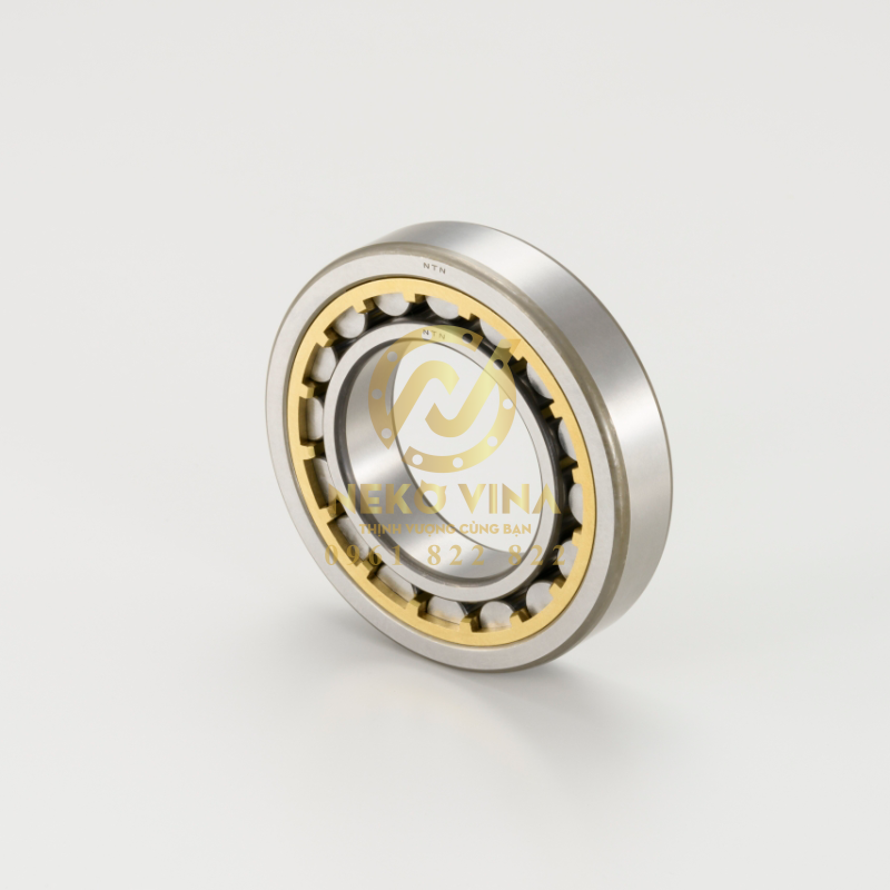 Công Ty TNHH Xuất Nhập Khẩu Neko Vina