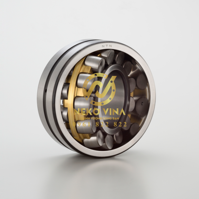 Vòng bi tang trống - Dậu đồng