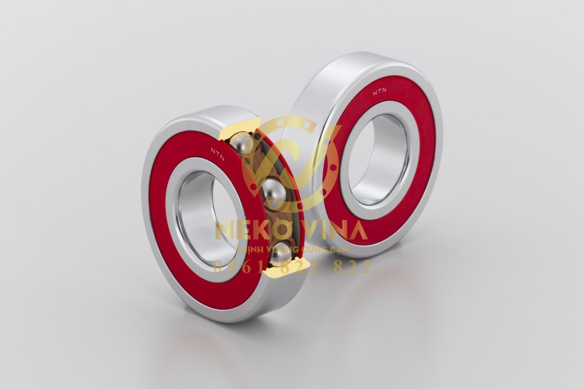 Công Ty TNHH Xuất Nhập Khẩu Neko Vina