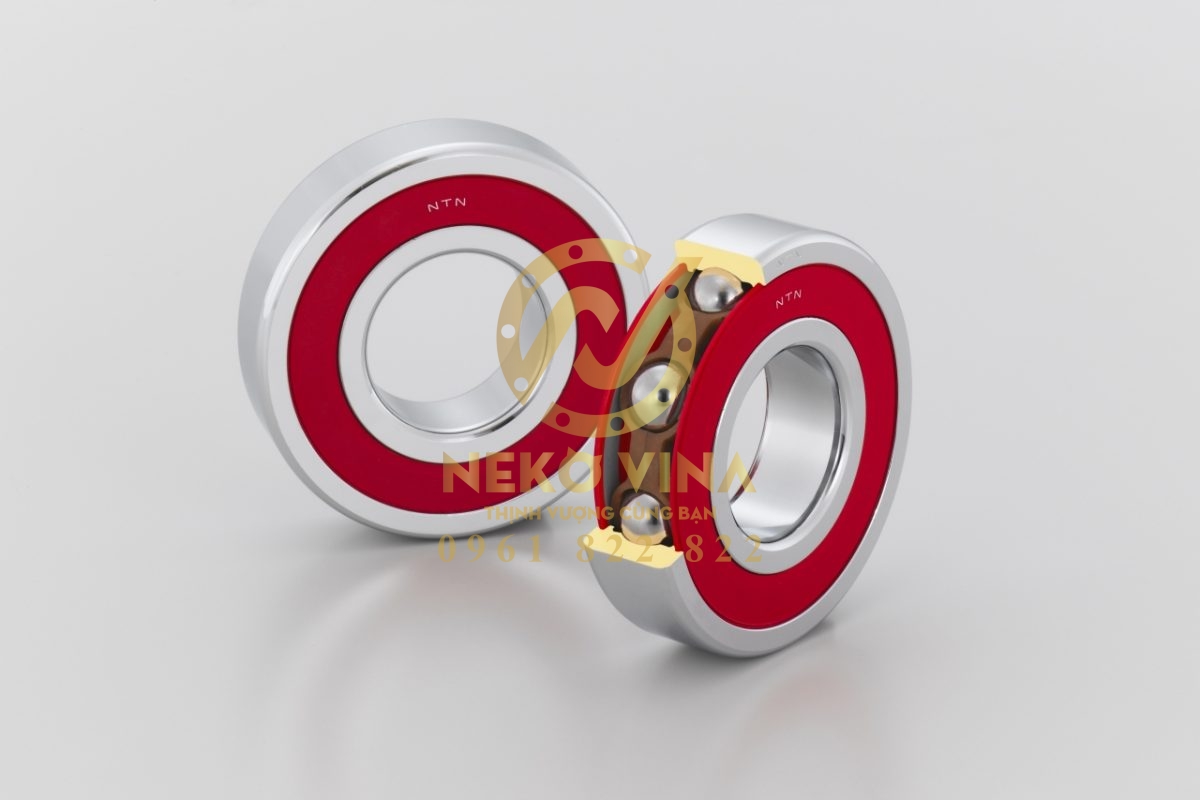 Công Ty TNHH Xuất Nhập Khẩu Neko Vina