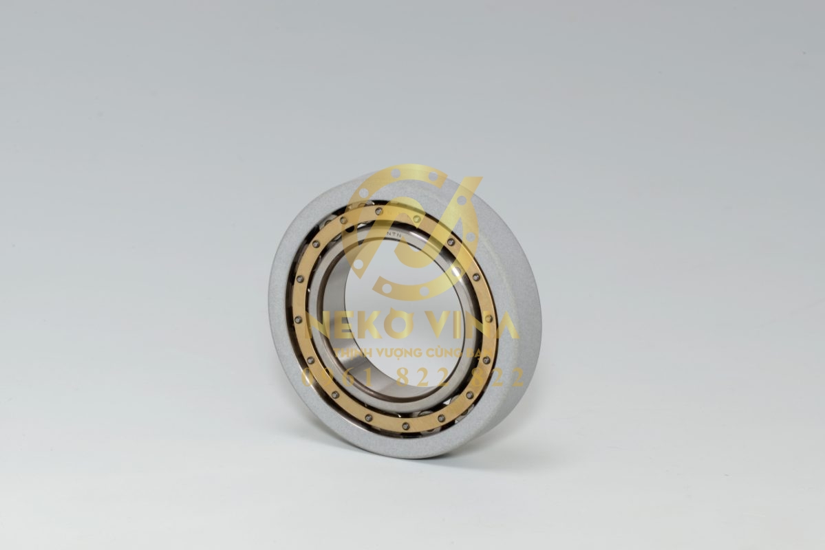 Công Ty TNHH Xuất Nhập Khẩu Neko Vina