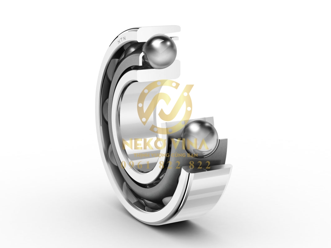 Công Ty TNHH Xuất Nhập Khẩu Neko Vina