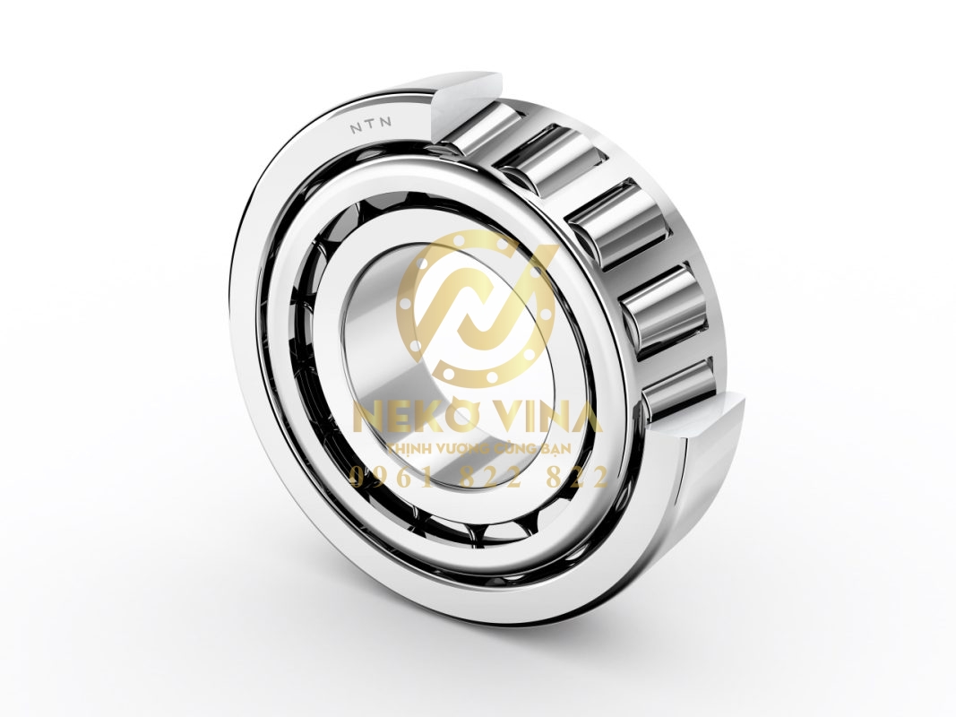 Công Ty TNHH Xuất Nhập Khẩu Neko Vina