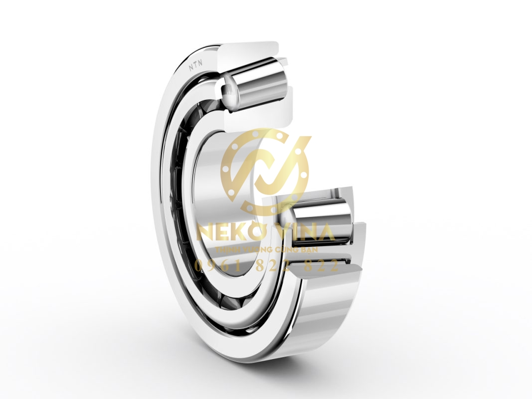 Công Ty TNHH Xuất Nhập Khẩu Neko Vina