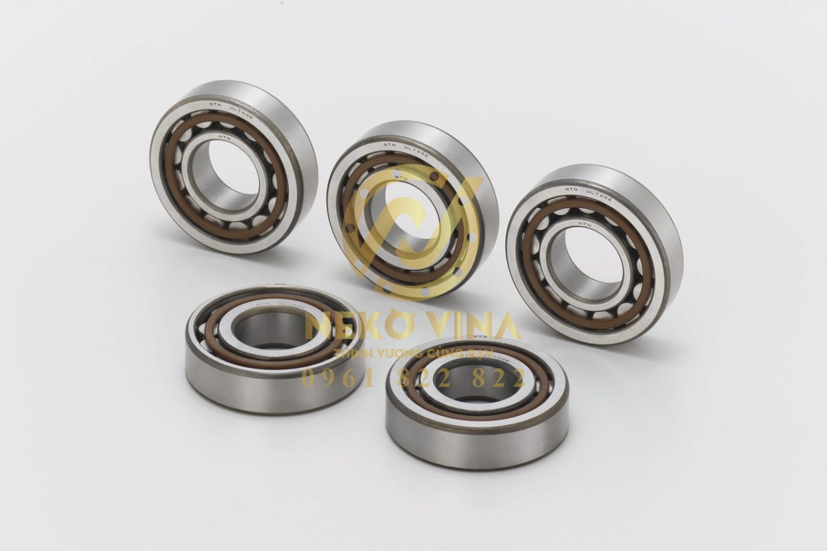 Công Ty TNHH Xuất Nhập Khẩu Neko Vina