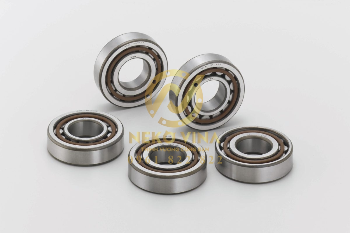 Công Ty TNHH Xuất Nhập Khẩu Neko Vina