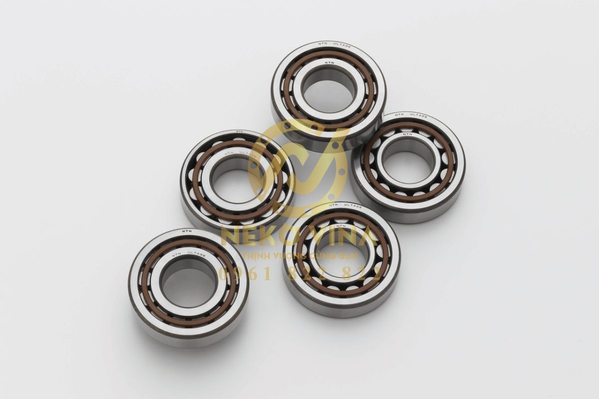 Công Ty TNHH Xuất Nhập Khẩu Neko Vina