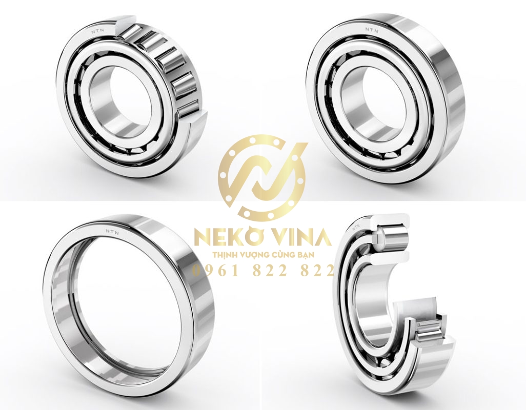 Công Ty TNHH Xuất Nhập Khẩu Neko Vina