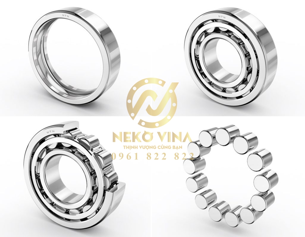 Công Ty TNHH Xuất Nhập Khẩu Neko Vina