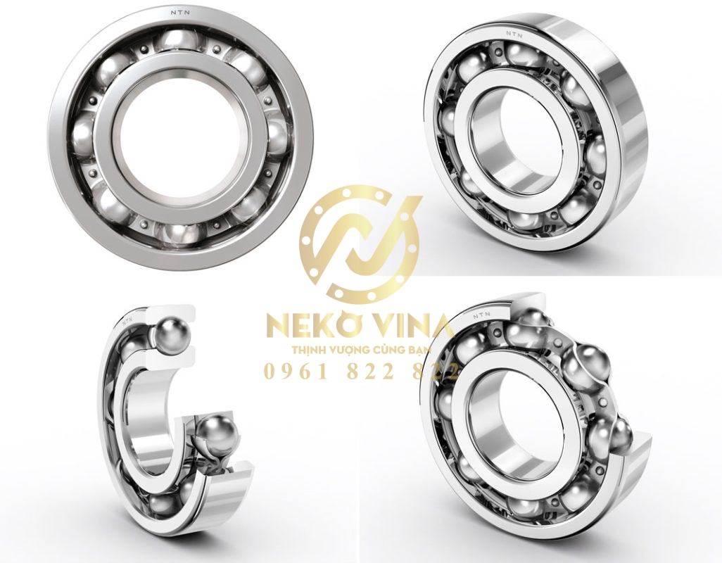 Công Ty TNHH Xuất Nhập Khẩu Neko Vina