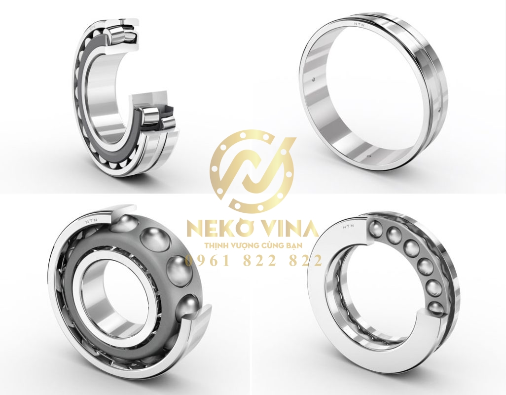 Công Ty TNHH Xuất Nhập Khẩu Neko Vina