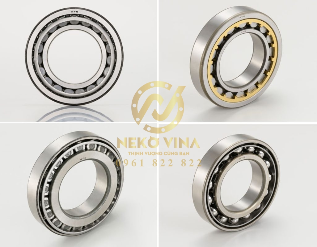 Công Ty TNHH Xuất Nhập Khẩu Neko Vina