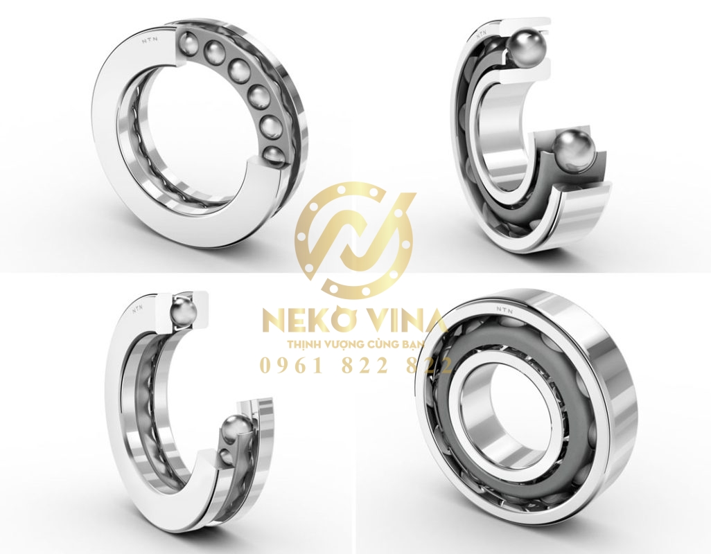 Công Ty TNHH Xuất Nhập Khẩu Neko Vina