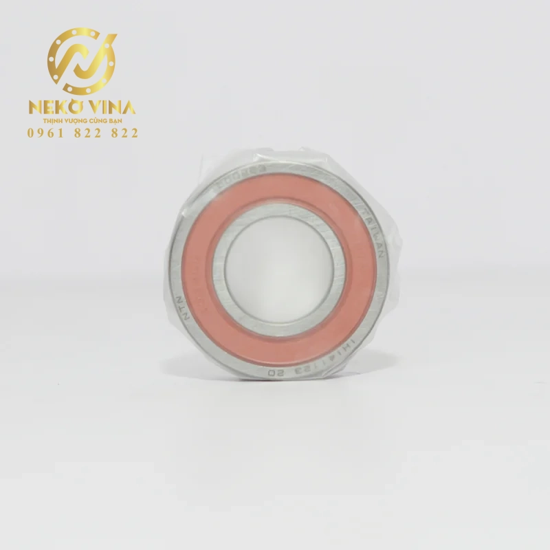 Công Ty TNHH Xuất Nhập Khẩu Neko Vina