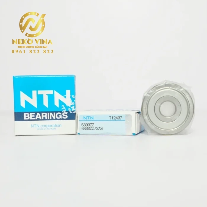 Vòng bi cầu 1 dãy 6300ZZ