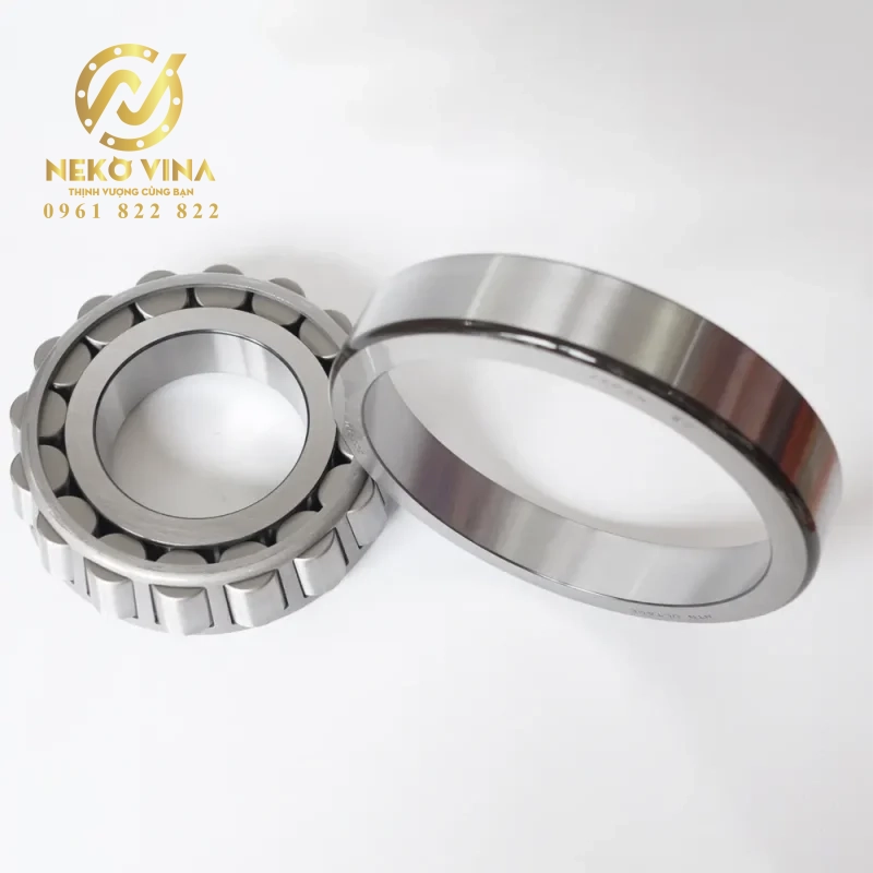 Công Ty TNHH Xuất Nhập Khẩu Neko Vina