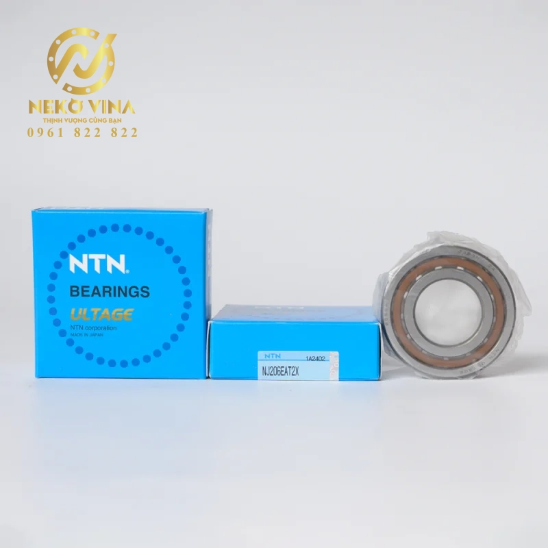 Công Ty TNHH Xuất Nhập Khẩu Neko Vina