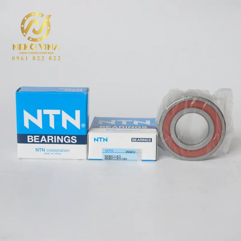 Công Ty TNHH Xuất Nhập Khẩu Neko Vina