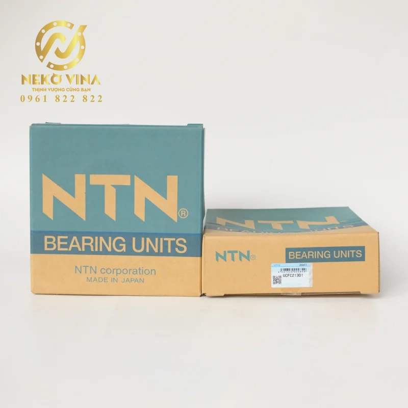 Công Ty TNHH Xuất Nhập Khẩu Neko Vina