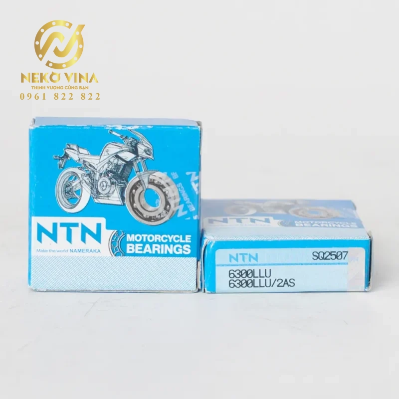 Công Ty TNHH Xuất Nhập Khẩu Neko Vina