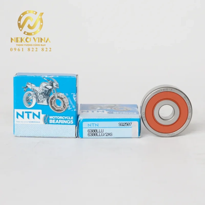 Công Ty TNHH Xuất Nhập Khẩu Neko Vina