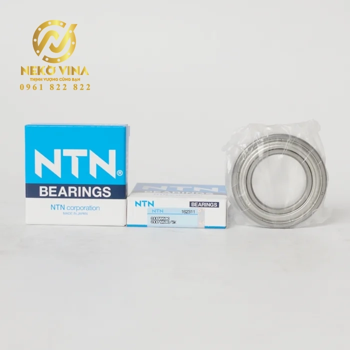 Vòng bi cầu 1 dãy 6007ZZC3